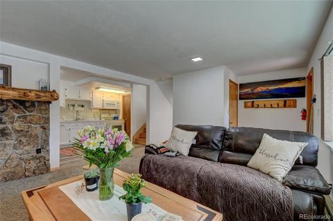 6495 High Cir, Morrison, CO 80465 photo 28