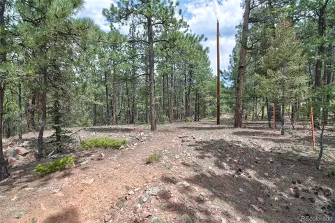 2956 Nova Rd, Pine, CO 80470 photo 39