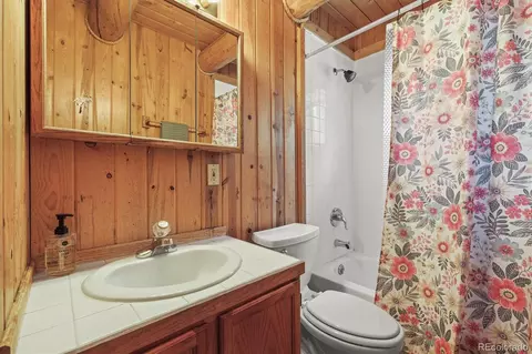 2956 Nova Rd, Pine, CO 80470 photo 16