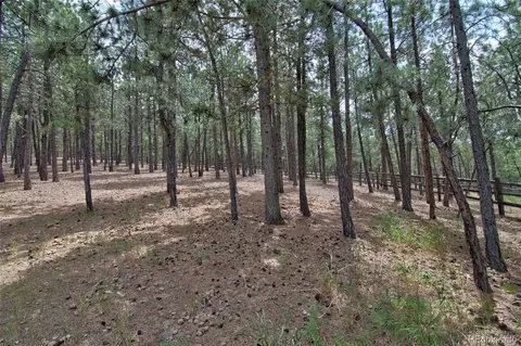 2956 Nova Rd, Pine, CO 80470 photo 36