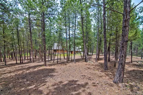 2956 Nova Rd, Pine, CO 80470 photo 38