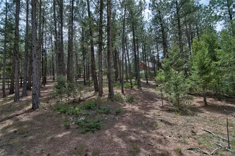 2956 Nova Rd, Pine, CO 80470 photo 40