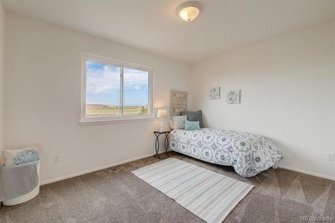 8670 E 145th Pl, Brighton, CO 80602 photo 22