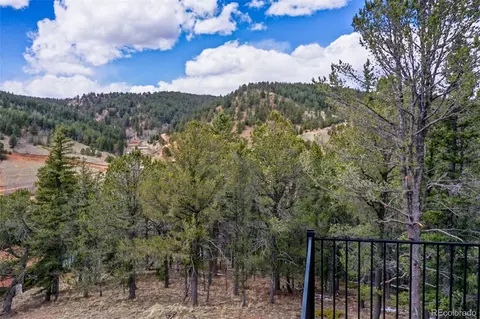 198 Timber Ridge Rd, Divide, CO 80814 photo 50