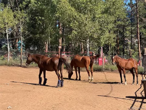 Other - 33508 Persistence Ave, Pine, CO 80470 photo 14 of 25