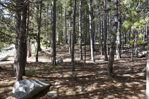 00 Upper Forest Rd, Idaho Springs, CO 80452