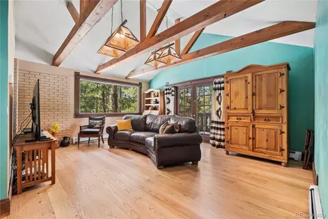 Living - 82 Iris Dr, Bailey, CO 80421 photo 2 of 2