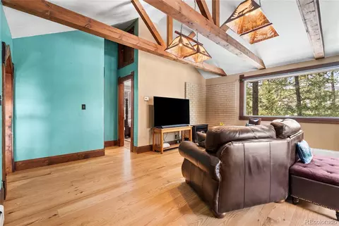 Other - 82 Iris Dr, Bailey, CO 80421 photo 6 of 11