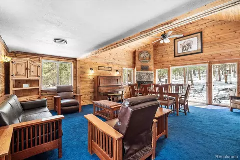 Other - 82 Iris Dr, Bailey, CO 80421 photo 8 of 11