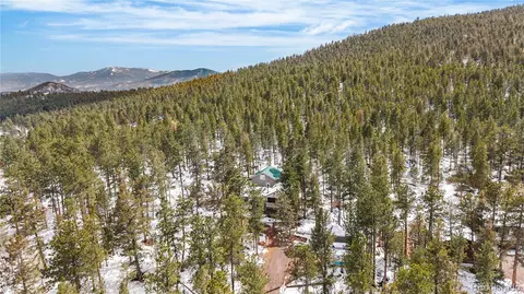 Other - 82 Iris Dr, Bailey, CO 80421 photo 11 of 11