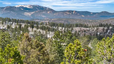 View/Area - 82 Iris Dr, Bailey, CO 80421 photo 2 of 2