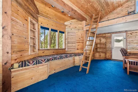 Other - 82 Iris Dr, Bailey, CO 80421 photo 9 of 11