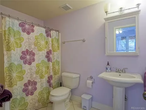 Bath - 180 Valley View Ln, Lyons, CO 80540 photo 6 of 6