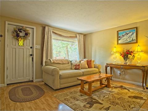 33775 Lutes Rd, Pine, CO 80470 photo 8