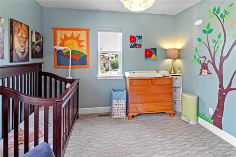 8930 E 29th Ave, Denver, CO 80238 photo 28