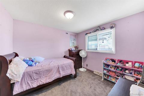 8530 Faraday St, Denver, CO 80229 photo 25