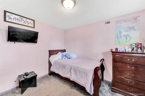 8530 Faraday St, Denver, CO 80229 photo 26