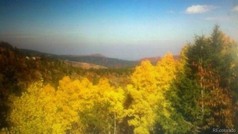 9971 City View Dr, Morrison, CO 80465 photo 16