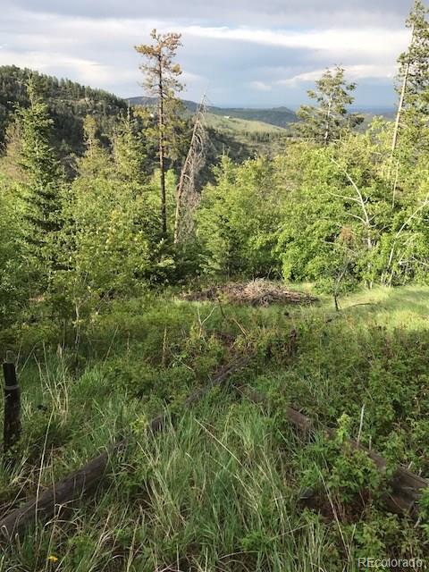 9971 City View Dr, Morrison, CO 80465 photo 8