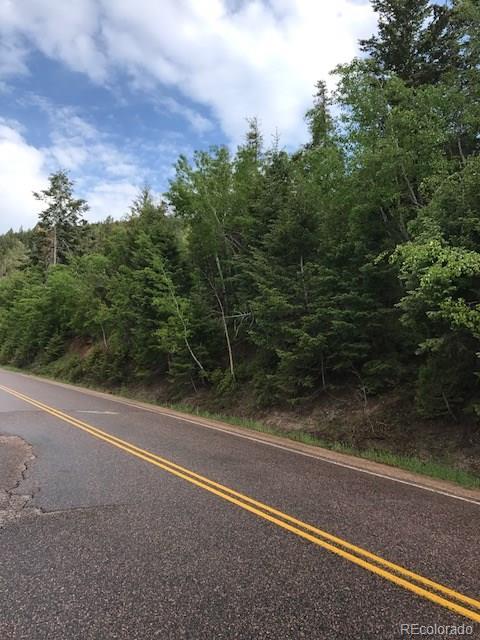9971 City View Dr, Morrison, CO 80465 photo 12