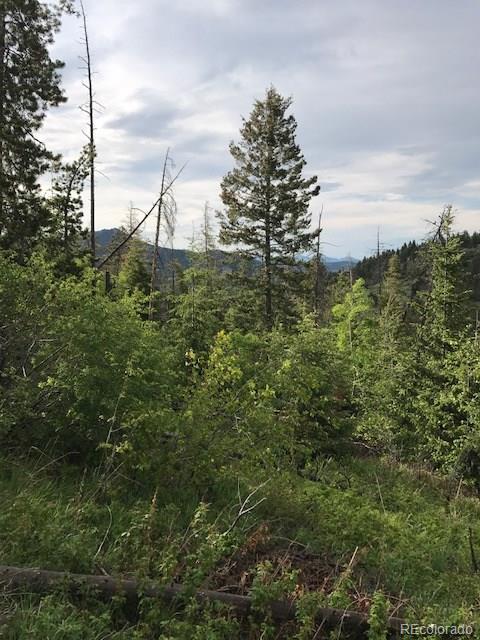 9971 City View Dr, Morrison, CO 80465 photo 9