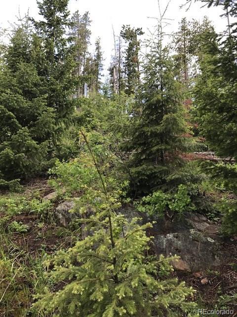 9971 City View Dr, Morrison, CO 80465 photo 11