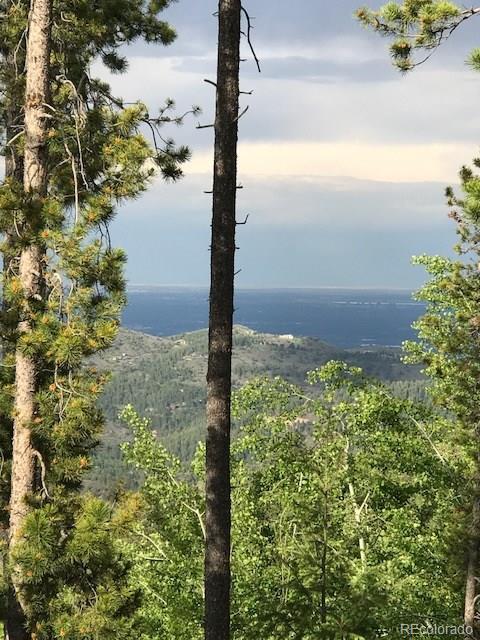 9971 City View Dr, Morrison, CO 80465 photo 1