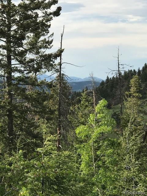 9971 City View Dr, Morrison, CO 80465 photo 5