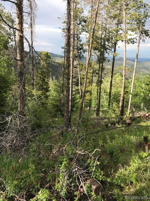 9971 City View Dr, Morrison, CO 80465 photo 7