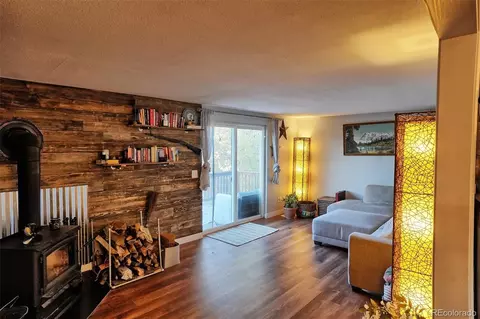 60 S Circle Dr, Bailey, CO 80421 photo 29