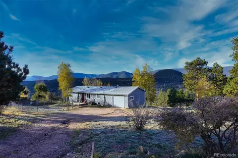 60 S Circle Dr, Bailey, CO 80421