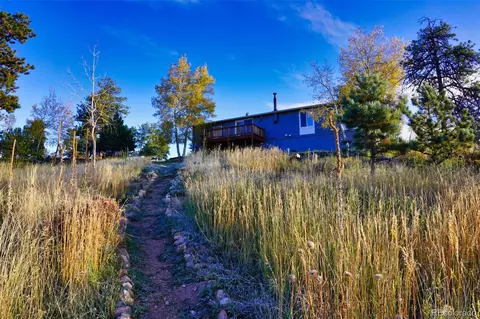 60 S Circle Dr, Bailey, CO 80421 photo 10