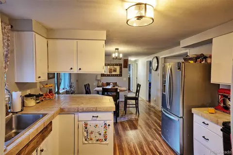 60 S Circle Dr, Bailey, CO 80421 photo 14