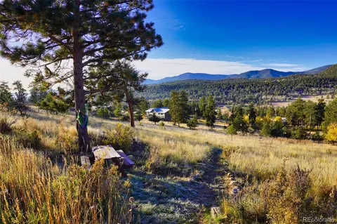 60 S Circle Dr, Bailey, CO 80421 photo 3