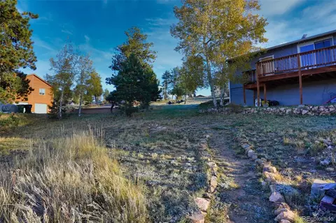 60 S Circle Dr, Bailey, CO 80421 photo 5