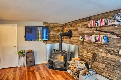 60 S Circle Dr, Bailey, CO 80421 photo 28