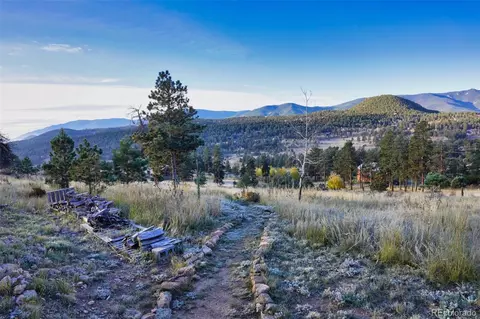 60 S Circle Dr, Bailey, CO 80421 photo 6