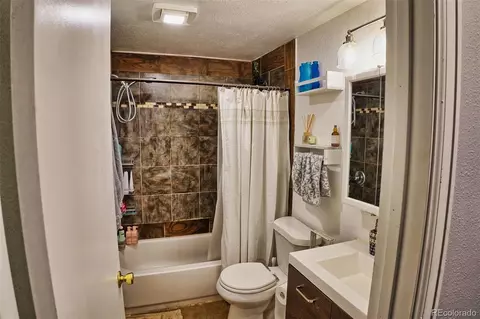 60 S Circle Dr, Bailey, CO 80421 photo 19