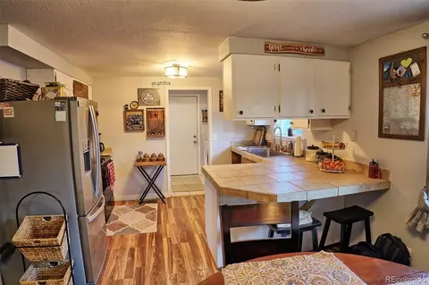 60 S Circle Dr, Bailey, CO 80421 photo 13