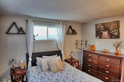 60 S Circle Dr, Bailey, CO 80421 photo 25
