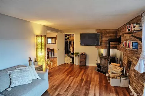 60 S Circle Dr, Bailey, CO 80421 photo 27