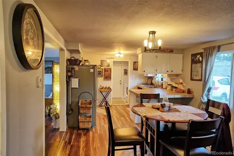 60 S Circle Dr, Bailey, CO 80421 photo 12