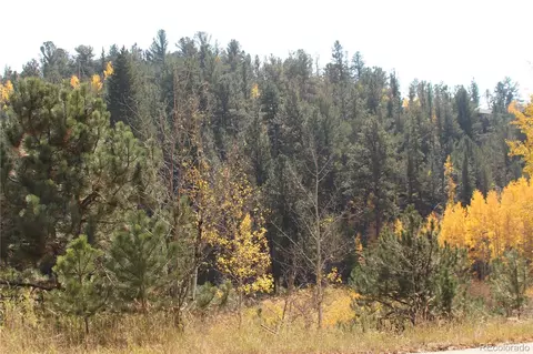 2012 Shelton Dr, Bailey, CO 80421 photo 3