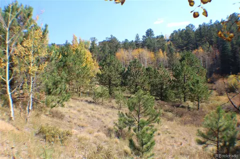 2012 Shelton Dr, Bailey, CO 80421 photo 2