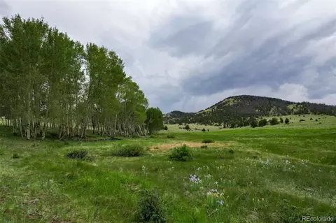 Co-9, Guffey, CO 80820 photo 12