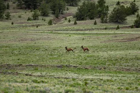 Co-9, Guffey, CO 80820 photo 15