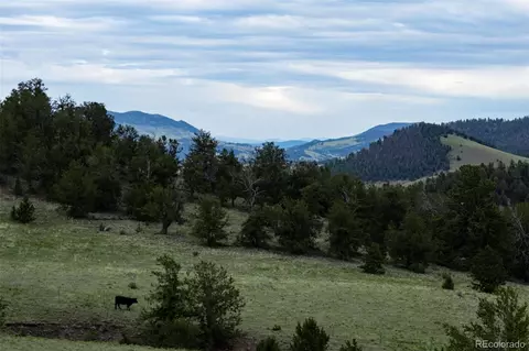 Co-9, Guffey, CO 80820 photo 17