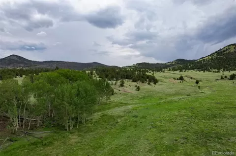 Co-9, Guffey, CO 80820 photo 13