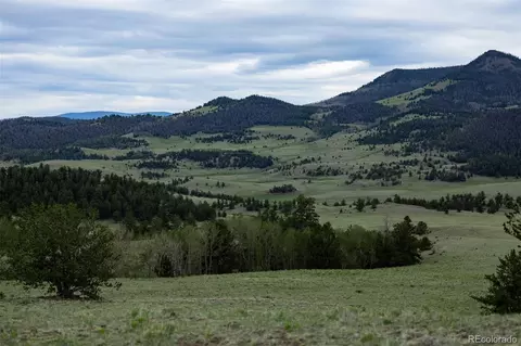 Co-9, Guffey, CO 80820 photo 18
