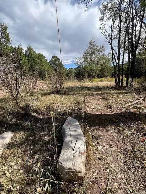 County Rd 531, Gardner, CO 81040 photo 13